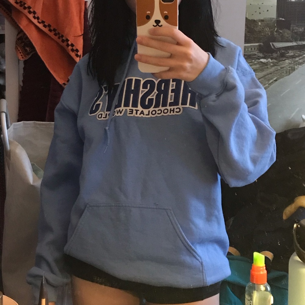 authentic blue hershey park sweatshirt